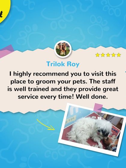 Trilok Roy highly recommends our services for our well-trained staff and great service. We strive to be consistent and professional every single time.