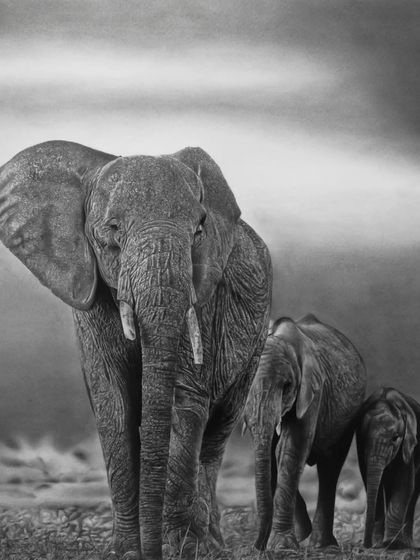 A breathtakingly realistic pencil drawing of an elephant family. This artwork demonstrates advanced skills in texture, composition, and emotional depth.