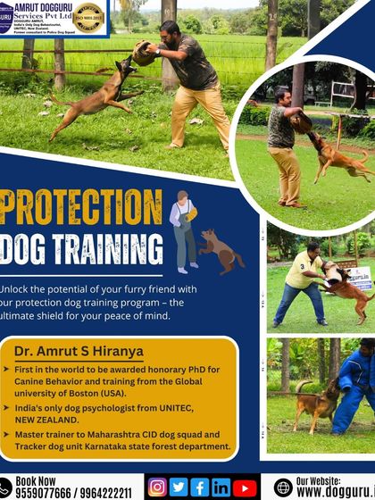 Dog Guru - Professional Dog Trainer Certification Advanced Training in Action photo 3
