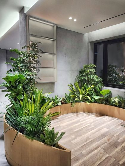 Another view of the biophilic office we designed in Hyderabad. The wooden planter beds curve through the space, bringing employees closer to nature and creating a calming, green pathway.