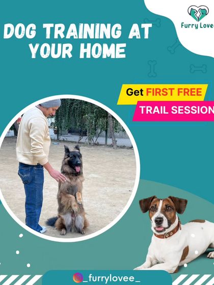 I believe in my methods so much that I offer a free trial session. This graphic advertises my at-home training service, giving you a chance to see my approach firsthand with no commitment.