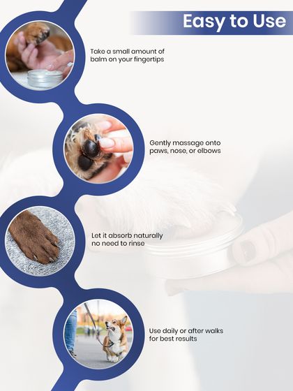 Augie Pets - Pet Supplies Health, Wellness & Pet Care Tips photo 9