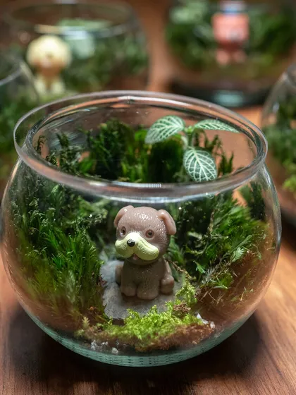 I love adding a personal touch with tiny figurines, like this adorable dog nestled in a bed of moss. These custom details can turn a beautiful terrarium into a deeply personal story or a perfect gift for a fellow pet lover.