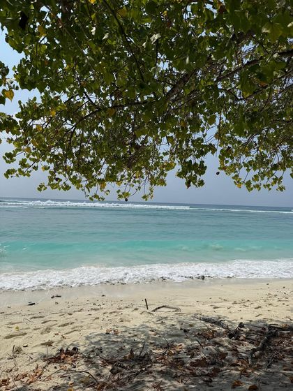 Yoga & Adventure: Lakshadweep photo 70