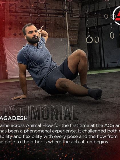 Academy of Strength - Skill-Based Fitness Workshops Master Your Movement: Animal Flow photo 38