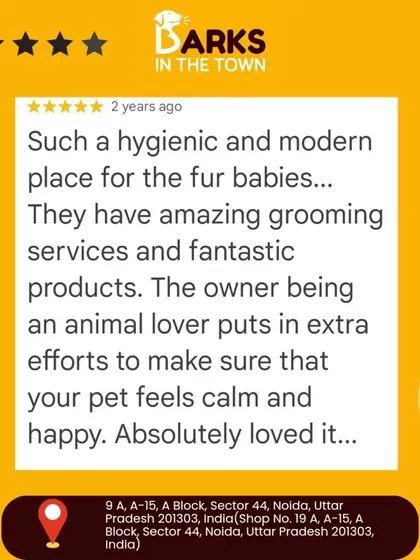 A wonderful review highlighting our hygienic and modern salon. The client notes that as an animal lover, I put in extra effort to make pets feel calm and happy.
