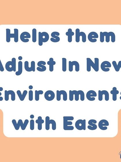 A well-socialized dog can adjust to new environments with ease, whether you're moving to a new home, visiting a friend, or going on vacation.
