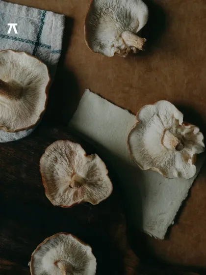 A closer look at dried shiitake mushrooms, a staple in many cuisines. In our workshops, we delve into how different preparation methods like drying can concentrate flavor and transform the texture of ingredients.