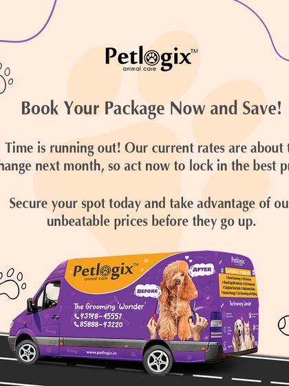Our purple and yellow van is a salon on wheels. Book your package now to lock in the best price before our rates change.