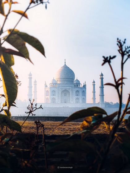 Finding a natural frame for the Taj Mahal. I shot this through some foreground plants to add depth and a sense of discovery to the image.