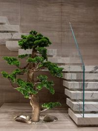 Interior Plantscaping