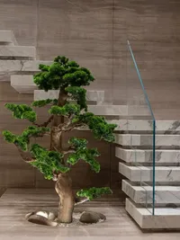 Interior Plantscaping