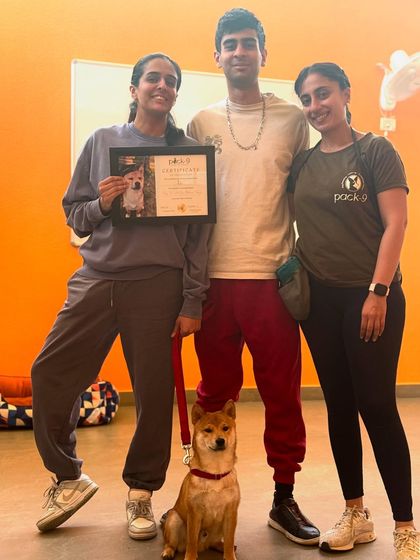 Aiko the Shiba Inu and his family on his special graduation day. We worked on building a balanced and meaningful relationship.