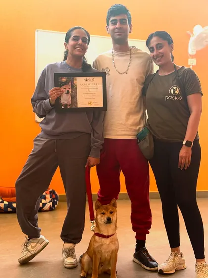 Aiko the Shiba Inu and his family on his special graduation day. We worked on building a balanced and meaningful relationship.