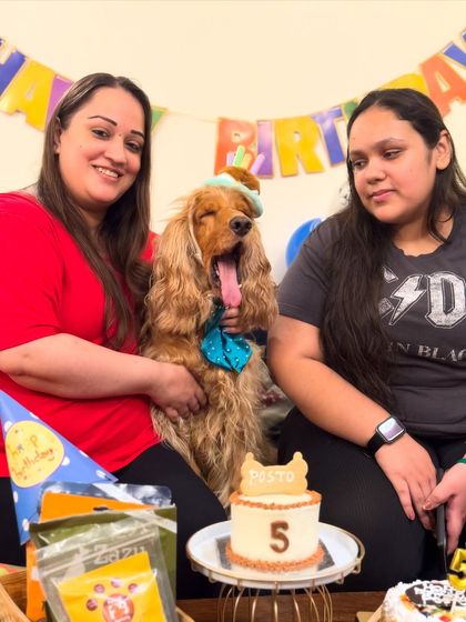 Posto yawning mid-photo during his birthday party with our friends. Being the center of attention is tiring!