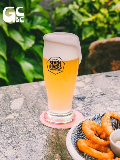 A freshly poured beer with a perfect head of foam, ready to be enjoyed with some crispy onion rings.