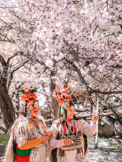 Two Brokpa women in their traditional attire stand under a blossoming apricot tree. Their colorful headdresses and intricate clothing are a testament to their rich cultural heritage.