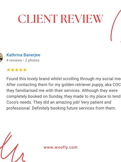 Woofly - At-Home Pet Grooming What Pet Parents Are Saying photo 3