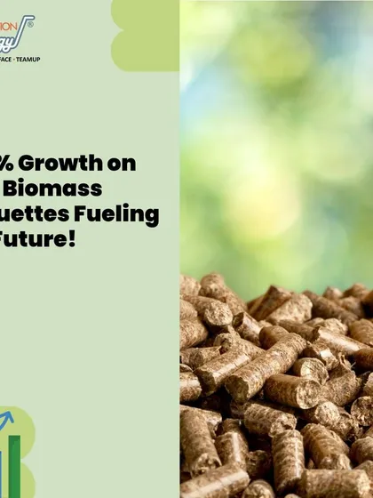A promotional graphic highlighting the 7.25% growth in the biomass briquettes market. The image shows a pile of biomass pellets, visually representing the clean energy product we help clients manufacture and sell.