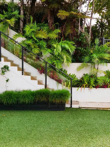 A modern backyard design featuring a clean lawn, tiered garden beds with tropical plants, and a sleek glass railing staircase. We blend contemporary architecture with lush greenery.