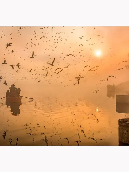 The morning mist over the Yamuna Ghat in Delhi, filled with a flock of seagulls. This photograph captures the ethereal golden light and the dynamic movement of the birds against the calm water, creating a scene that is both a landscape and a living moment.