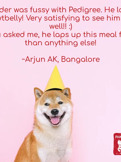 Don't just take our word for it. We love hearing from fellow pet parents like Arjun who see their fussy eaters transform into enthusiastic mealtime champs. This is why we do what we do.