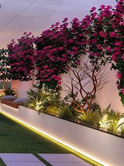 We love incorporating vibrant plant life. This design features beautiful bougainvillea climbers that add a pop of color and a natural, organic feel to the modern architecture.