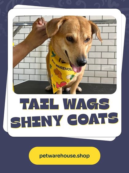 Pet Warehouse - Pet Grooming Services Happy Tails Gallery photo 24