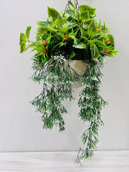 Hanging Greenery & Ceiling Decor photo 26