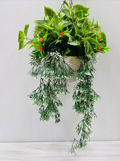 An elegant hanging basket with delicate white trailing flowers and broad green leaves in a white pot.
