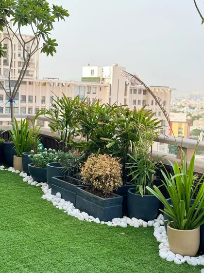 Your private retreat in the sky. We designed this Delhi rooftop garden to be a lush escape from the city below. A combination of potted plants, artificial turf, and decorative white pebbles creates a low-maintenance yet beautiful space for relaxation.