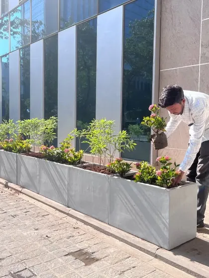 I am carefully placing a flowering plant into one of the FRP planters. We use our own blend of cocopeat, soil, and compost to provide the best nutrients and drainage for the plants to thrive in a commercial setting.