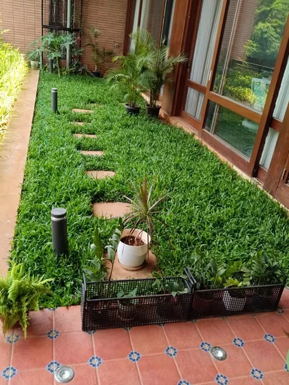 A finished garden with a lush lawn, stepping stones, and planters, creating a multi-layered and functional outdoor space.