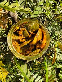 Homemade Indian Pickles