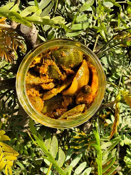 A top-down view of our popular mixed pickle, nestled in nature. You can see the rich texture and variety of ingredients like mango, lemon, and lotus root, all coated in our signature hand-crushed masala.