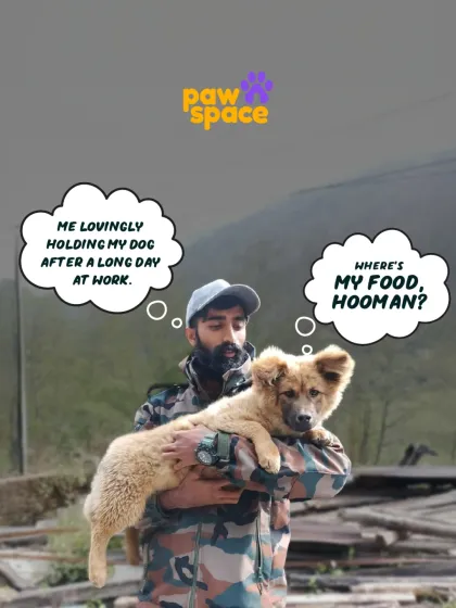 This is a conversation every pet parent has had. While you're thinking of cuddles, your dog's mind is on one thing: dinner. We make it easy to give them the healthy, delicious food they're dreaming of.