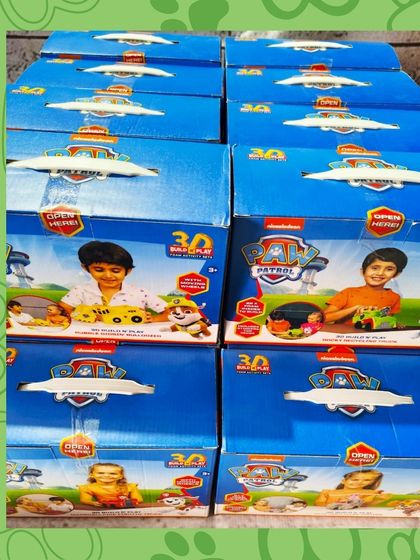 A bulk order of 20 Paw Patrol 3D foam building kits, ready to be dispatched in Bengaluru.
