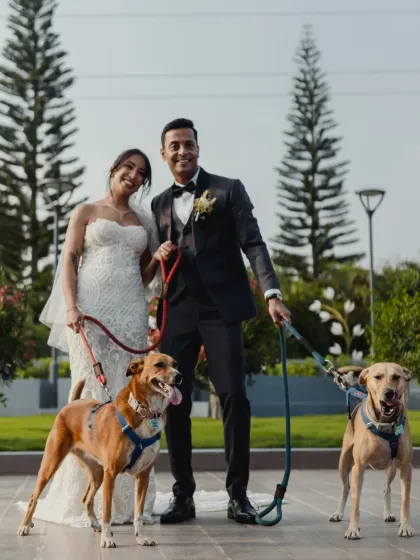 Amanati Events - Full-Service Wedding Planning Modern & Christian Weddings photo 16