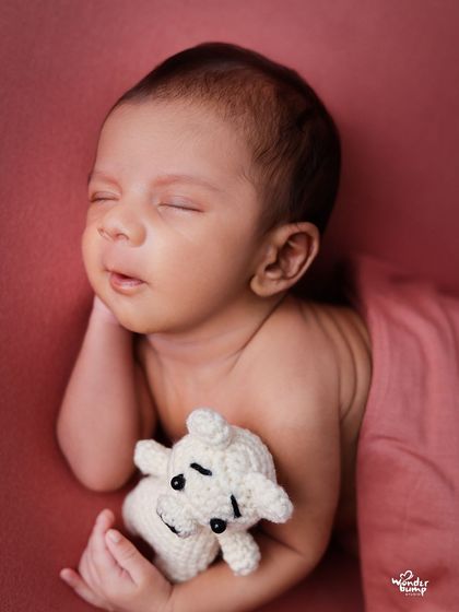 WonderBump Studio - Newborn Photography Classic Poses & Swaddles photo 7