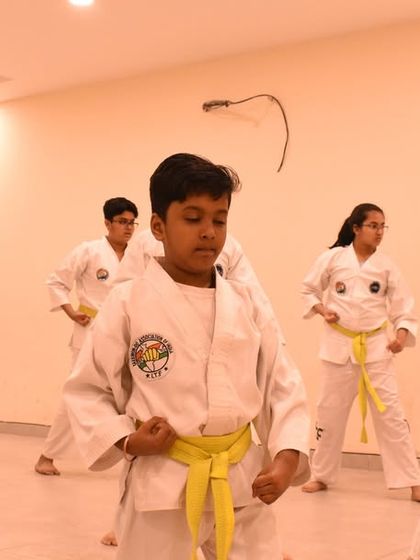 Students demonstrate their patterns during a belt grading exam, their movements synchronized and precise.