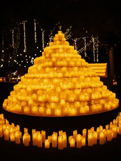 Spectacular Evenings: Sangeets, Receptions & Welcome Dinners photo 48