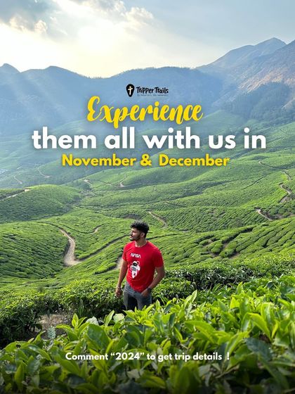 Experience them all with us in November and December. A traveler stands in the lush tea fields of Munnar, inviting you to join our year-end trips.