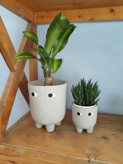 How cute are these little planters with feet and eyes? They add a touch of personality and fun to your plant collection. They're perfect for a small desk plant or succulent.
