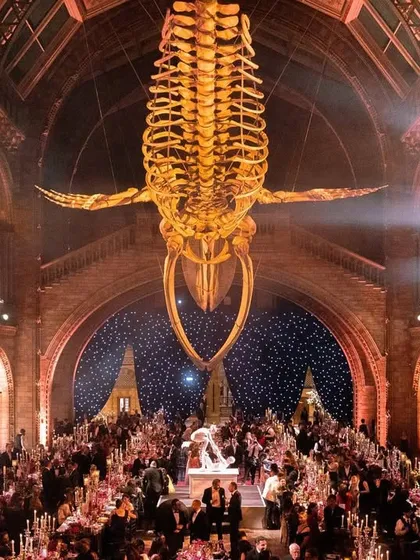 A spectacular sit-down dinner experience we curated at the National History Museum in London, dining under the iconic whale skeleton. We specialize in sourcing and transforming unconventional, exclusive venues into unforgettable settings for celebration.
