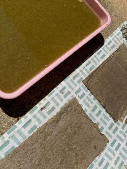 The papermaking process in action. The tray of pulp is next to the freshly pressed sheets that are laid out to dry.