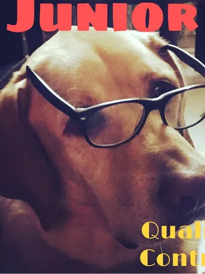 Meet Chef Junior, my Labrador and the most important member of our team. He's our official Quality Control expert, and no treat leaves our kitchen without his enthusiastic paw of approval.