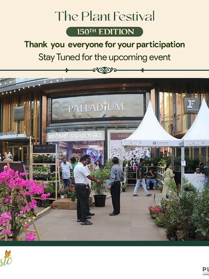 The Festival Vibe: A Celebration of Nature photo 19