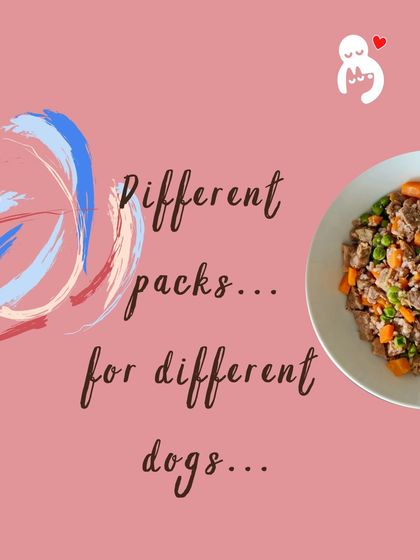 Hungry Eyes - Freshly Cooked Dog Meals Our Story, Our Community photo 35