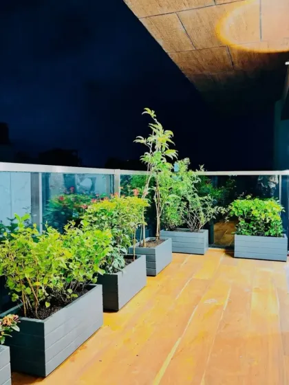 This view shows the depth and layout of the balcony planting scheme. By varying the plant sizes and types in each planter, we create a dynamic and natural-looking garden that doesn't feel uniform or static.