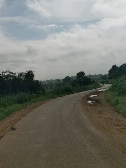 A winding country road disappears into the distance. This is the kind of peaceful, traffic-free riding you can expect on our tours.